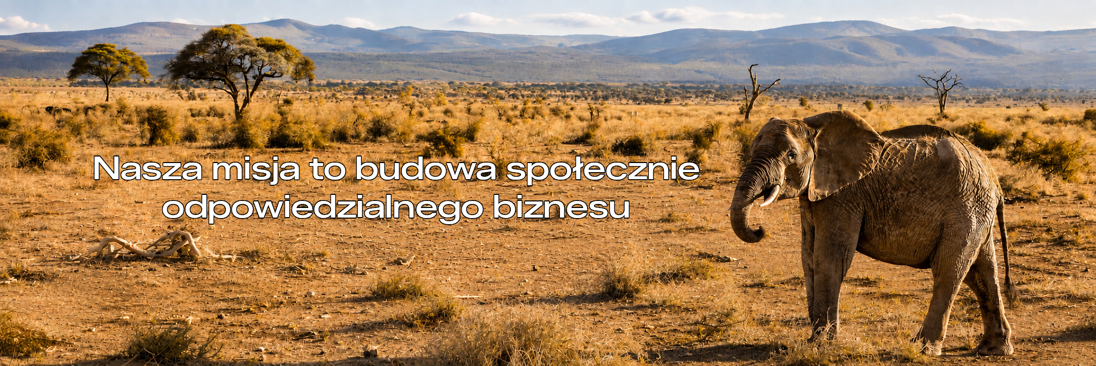 słoń