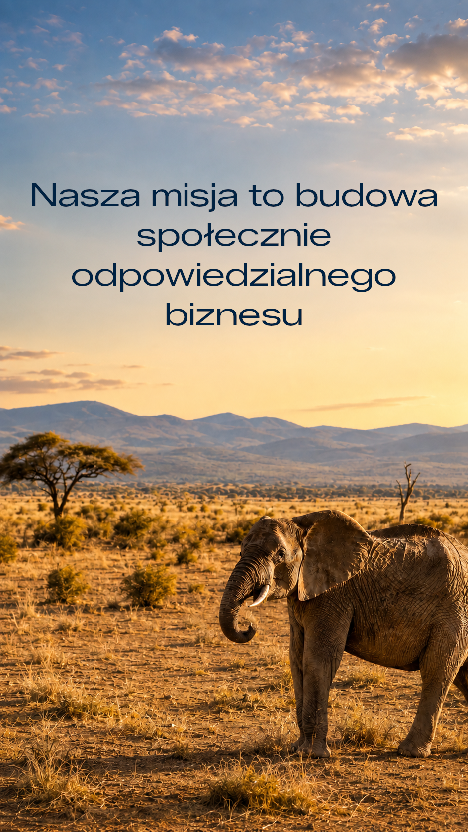słoń telefon