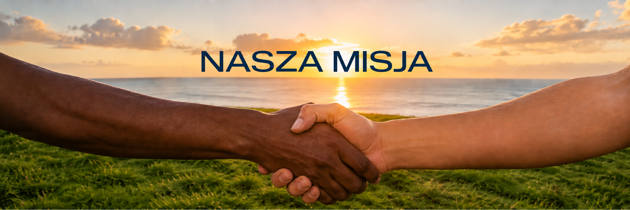 nasza misja pc